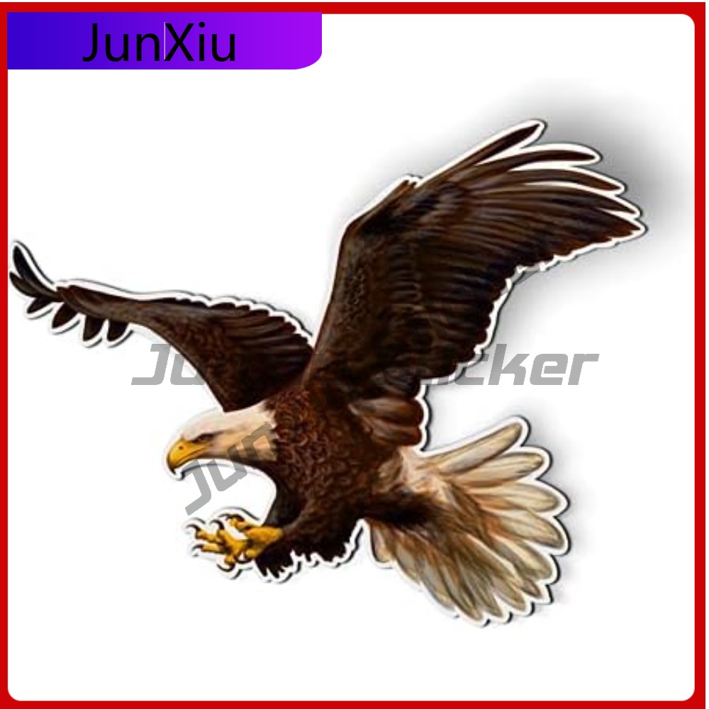 Bald Eagle American Eye Catchi - Laptop Accessories To Have recensie en prijs
